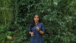 jnuee 2020 | Expected details of JNU Entrance 2020 | JNU UET|