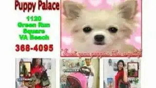 Puppy Palace 