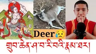 གྲུབ་ཆེན་ཤ་བ་རི་བའི་རྣམ་ཐར། ཤ་བ་སྟོང་ཕྲག་བསད་པ།