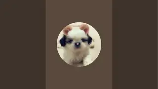 Simba's Happy Tale is live