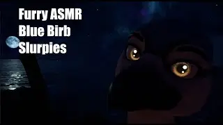 (Furry ASMR) Blue Bird Slurpies💦for Relaxation 💤