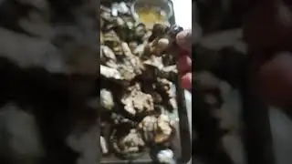 TALABA PART 2