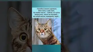 #юмор #смехпродлеваетжизнь #fun #прикол #шуточное #смех #смешновидео #мем #смешнойшортс #анекдоты