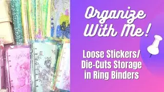 Organize With Me: Sticker Storage! Loose Planner Stickers & Di-Cuts/Embellishments in Ring Binders