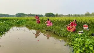 Fishing Video || Three expert fisherman fishing happily in the paddy field canal || Best hook trap