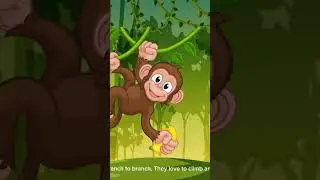 #jungleanimals #learningaboutanimals #learningisfun #learningforpreschoolers #leothelion