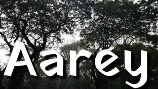 Save Aarey Forest | Aarey Colony | Save Trees