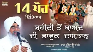 14 Poh Itihaas - Shaheedi To Baad Di Bhavook Dastaan | Safar-E-Shahadat | Bhai Davinder Singh Sodhi