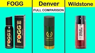Fogg vs Denver vs Wildstone Full Comparison UNBIASED in Hindi