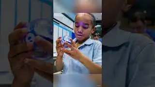 Magnet Pathway: Science, Technology, Engineering, and Mathematics (STEM)