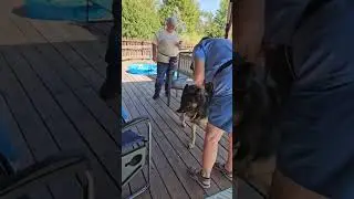 Stemoscope Demo