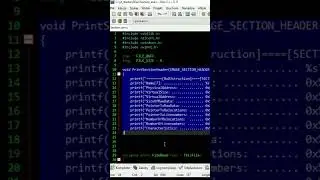 ☠️HACKER INSIDE EXE FILE ❌ READING EVERY SECTIONS ❗#hacking #malware #exe