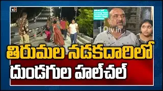 తిరుమల నడకదారిలో దుండగుల హల్&zwnj;చల్ | Police Search Operation For Thugs In Tirumala | 10TV News