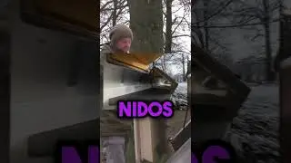 Alemania crea m&aacute;s refugios para las personas sin hogar 🤔🏠 ￼#shorts