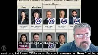 Dallas Rep Rafael Anchia takes credit for killing HB803 Equal Shared Parenting Bill