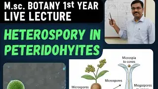 Heterospory in Pteridophytes | LIVE Lecture | M.Sc / B.Sc Botany, #UniversityExams ,#semesterexams 