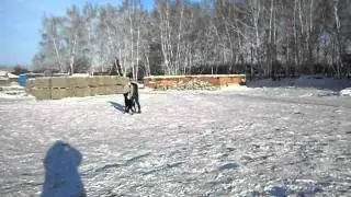 Изображение 91160