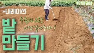 [밭 만들기] 두둑과 고랑에 대해, +몹쓸 내레이션, 배추밭