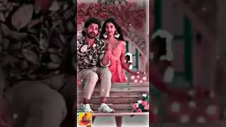 Allu Arjun💫 New 4K Status Video #shorts #ytshorts #alluarjun #whatsappstatus #tamil