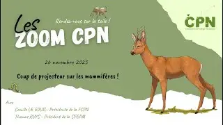 Zoom CPN - Coup de projecteur sur les mammifères