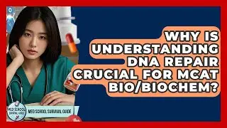Why Is Understanding DNA Repair Crucial For MCAT Bio/Biochem? - Med School Survival Guide