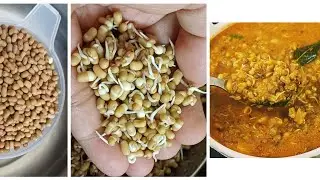 Healthy SPROUTED MOTH / MATKI KA SALAN | நரிபயறு கறி #food #NINI #sidedish #subscribe #recipe #viral