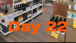 POV Day 22/100 through Meta! Life in Canada.🇨🇦 