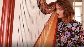 Boulevard Of Broken Dreams - Green Day (Harp Cover)