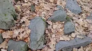 Stephen's Falls at Governor Dodge State Park
