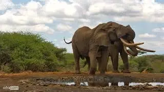One Ton Returns to ol Donyo!