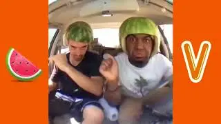 MarlonWebb all Watermelon vines 2015!