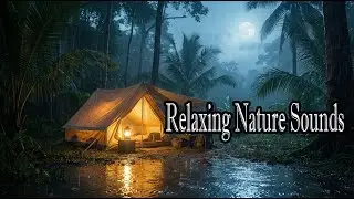Heavy Rain in a Tent Deep in the Forest 🌧️⛺🌲 Relaxing Nature Sounds