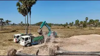 Powerful​ excavator | Real work, real power​​​​​ #excavator #truck #machinery