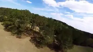 skitzo motor meltdown