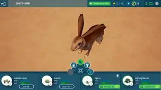 Tyto Ecology | Episode 1- At Home in the Mojave Desert!