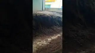 Vermicompost (Part 4)