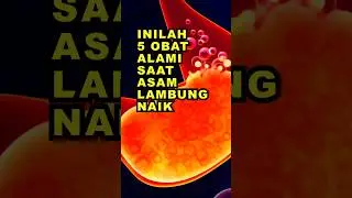 Inilah 5 Obat Alami Saat Asam Lambung Naik #ekoazis