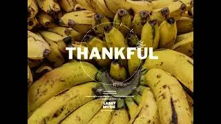 THANKFUL | Afrobeat 2026 | happythanksgiving | amapianobeat | highlife | afrogospel | afrojam 