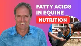 Choosing Oils For Horse Diets - Dr. Peter Huntington