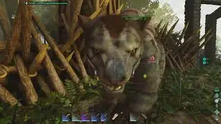 #28: ASA, 100 days, The island (Official strats) | Putting in work!