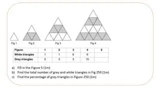 PSLE 2019 Sample  Math Questions (With solutions)