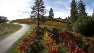 Gold Mountain Winery and Lodge Fairplay YouTube