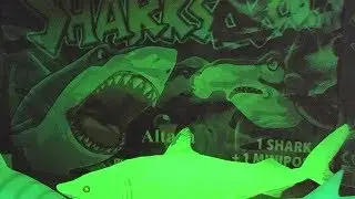 Sharks & Co. Tiburones &co. VS Dominadores De Los Mares | Animales Marinos Blanditos