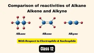 Comparison of reactivities of Alkane, Alkene and Alkyne | Reactivity of Alkene and alkyne Class 12
