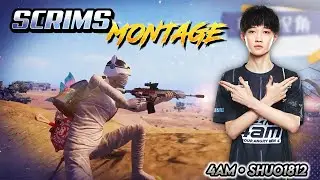 4AM Shuo1812 Montage 🔥| PEL 2022 Summer Scrims