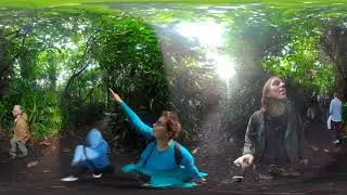Burger's Zoo - Bush #1 - VR360