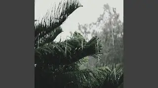 Monsoon Rain