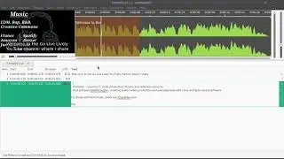 Subtitle Editor Quick Tutorial