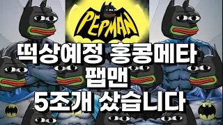 홍콩불장 대비 밈코인 펩맨(pepman) 5조개 샀습니다 / 팹맨 사는법 / 저스틴썬 일론머스크가 밀어주고 100배 떡상 가자