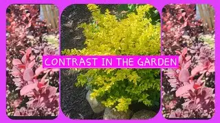 How to Create Year Round Interest in Your Garden